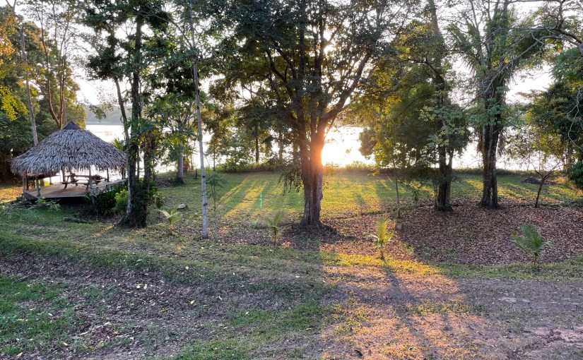 My Idol of&nbsp;Comfort